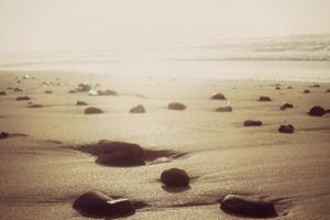 Exito…el camino lleno de piedras…