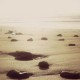 Exito…el camino lleno de piedras…