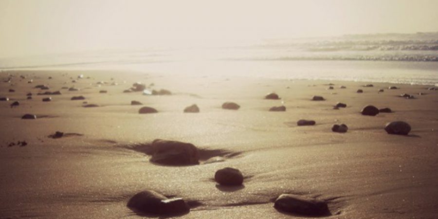Exito…el camino lleno de piedras…