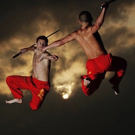 Especialistas artes marciales