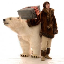 Oso Polar