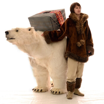 Oso Polar
