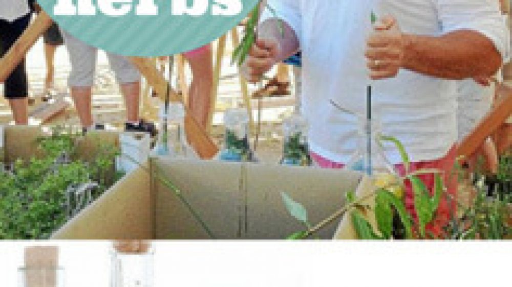 ibiza_liquor_herbs_vertical_web