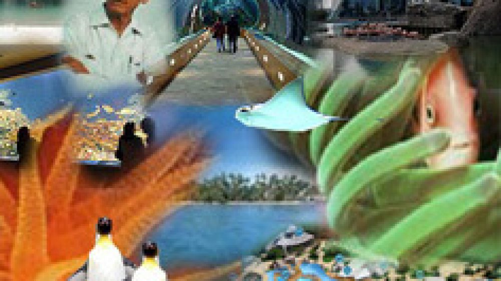 the_jacques_cousteau_challenge_vertical_web