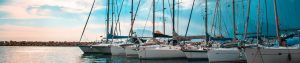 corporate sailing regatta