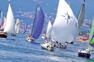 corporate sailing regatta