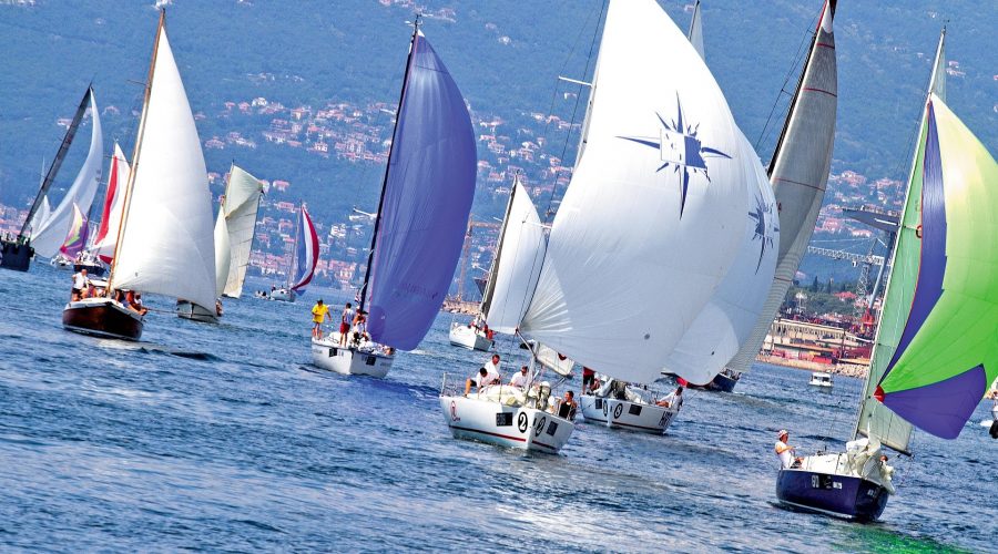 corporate sailing regatta